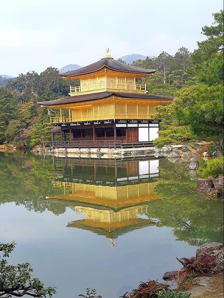 Dominante Cuisine et Culture du Japon