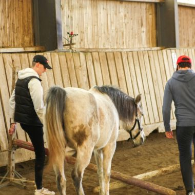 Apprendre le management et le leadership différemment