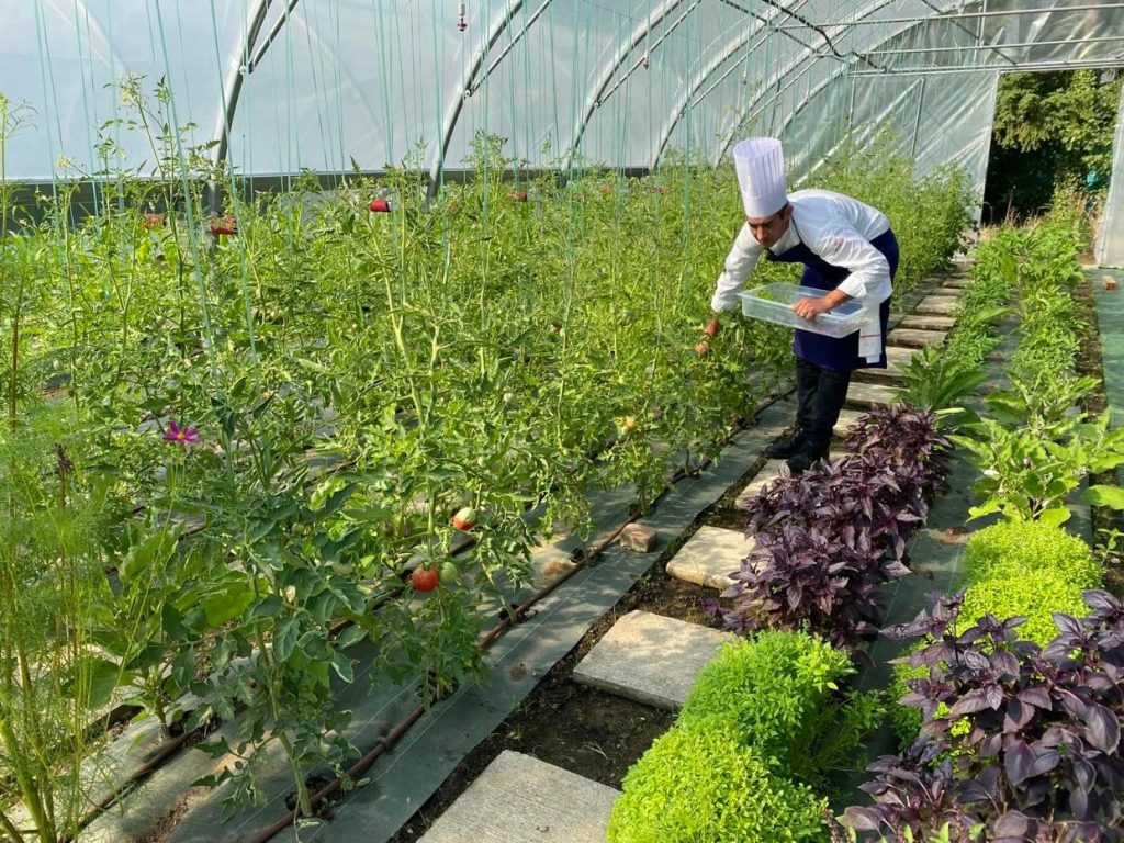 serres pédagogiques saisons