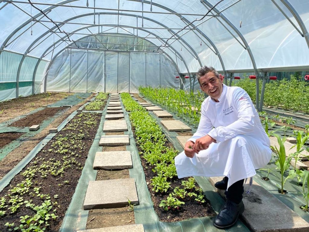 serres pédagogiques saisons