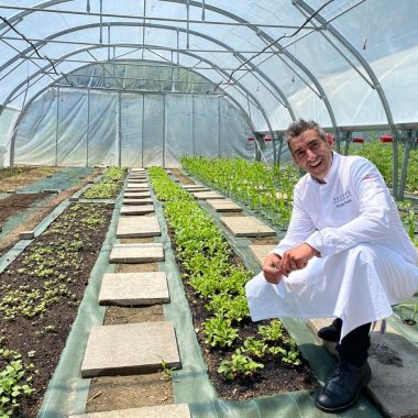 DE LA TERRE A L’ASSIETTE : BALADE DANS LES SERRES PÉDAGOGIQUES DE L’INSTITUT PAUL BOCUSE