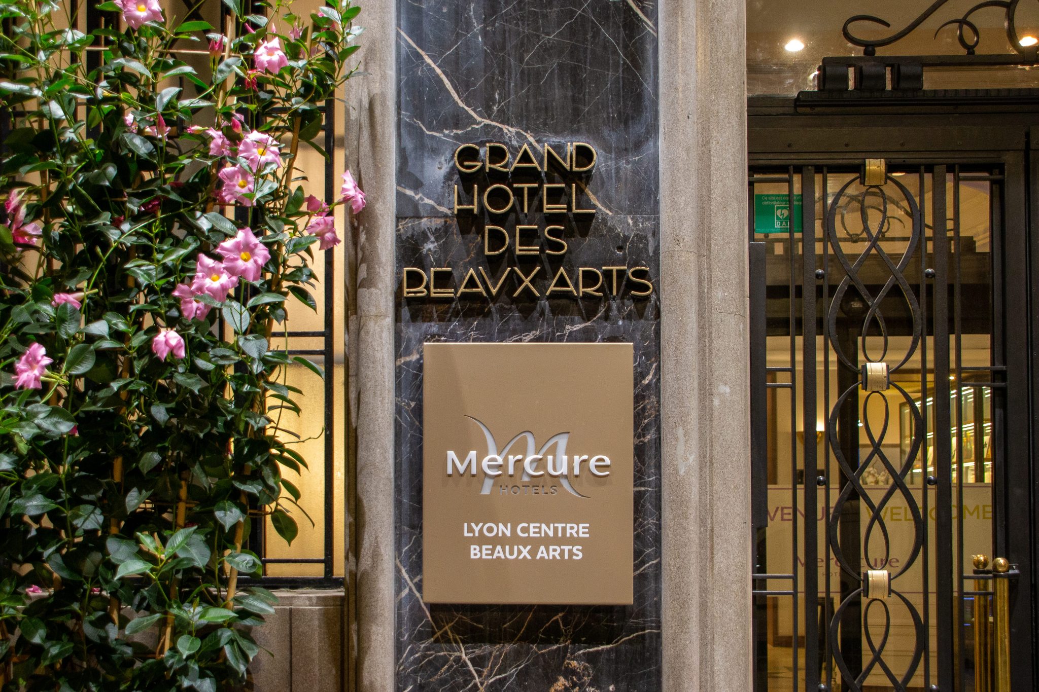 hotel mercure accor lyon