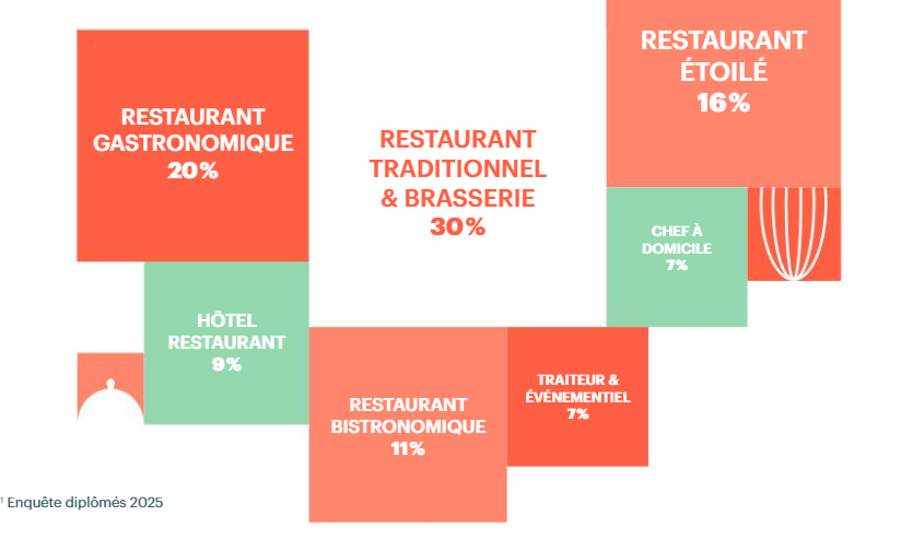 infographie des chiffres clés des secteurs d'activités des diplômés en bachelor en arts culinaires de l'institut lyfe