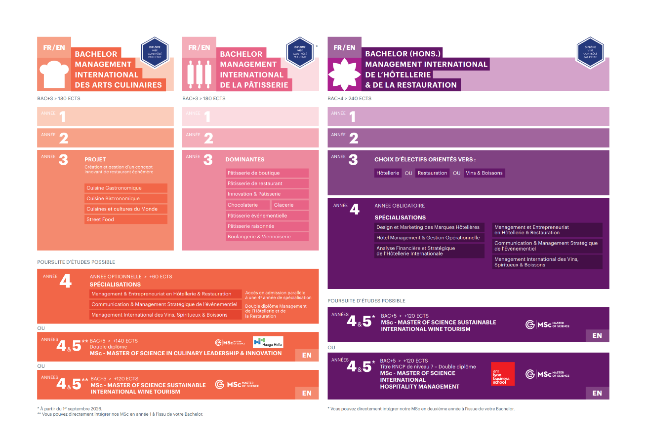 Infographie bachelors et master dee l'institut lyfe