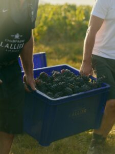 Photo de la Maison de Champagne Lallier