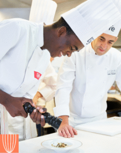 dressage de plat à l'institut lyfe